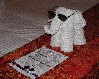 Towel Art